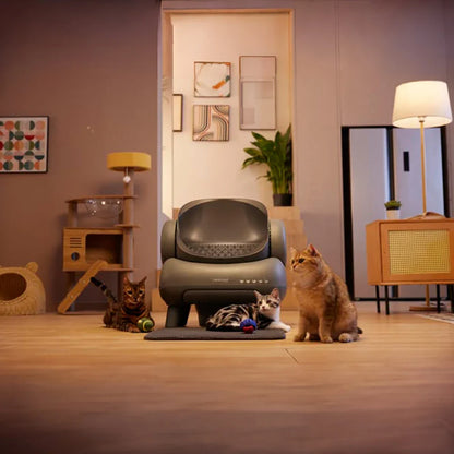 CatCloud M1 - Automatic Cat Litter Box – Odor-Free, Self-Cleaning, and Smart